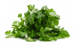 shutterstock_231671728