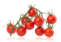 shutterstock_164282732