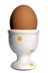 shutterstock_9979909